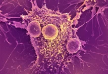 mrnkvakcziny otkryvayut novye perspektivy v borbe s rakom i 19-stanural-ru-0