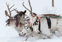 Мурманск, Териберка и Байкал — популярные зимние направления для отдыха 2025-2026 murmansk teriberka i bajkal populyarnye zimnie napravleniya dlya otdyha 20252026-stanural-ru-0