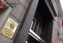 Налоговая служба защищает интересы Челябинска в деле Завгородней и Иванова nalogovaya sluzhba zashhishhaet interesy chelyabinska v dele zavgorodnej i ivanova-stanural-ru-0