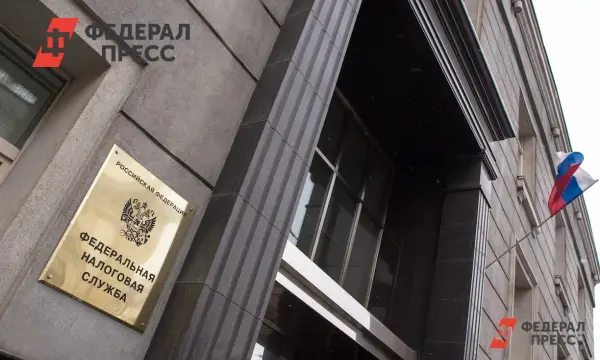 Налоговая служба защищает интересы Челябинска в деле Завгородней и Иванова-0