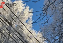 Новосибирская область готовится к морозам, сибирская зима дарит снег и свежесть novosibirskaya oblast gotovitsya k morozam sibirskaya zima darit sneg i svezhest-stanural-ru-0