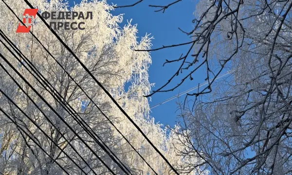 Новосибирская область готовится к морозам, сибирская зима дарит снег и свежесть-0