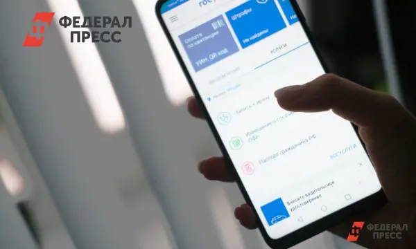 Повышение безопасности "Госуслуг" в Хабаровске с важными рекомендациями-0