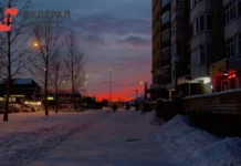 prognoz pogody dlya moskvy i podmoskovya na pervye holoda noyabrya-stanural-ru-0