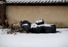 Росприроднадзор требует возмещение ущерба в Камышлове rosprirodnadzor