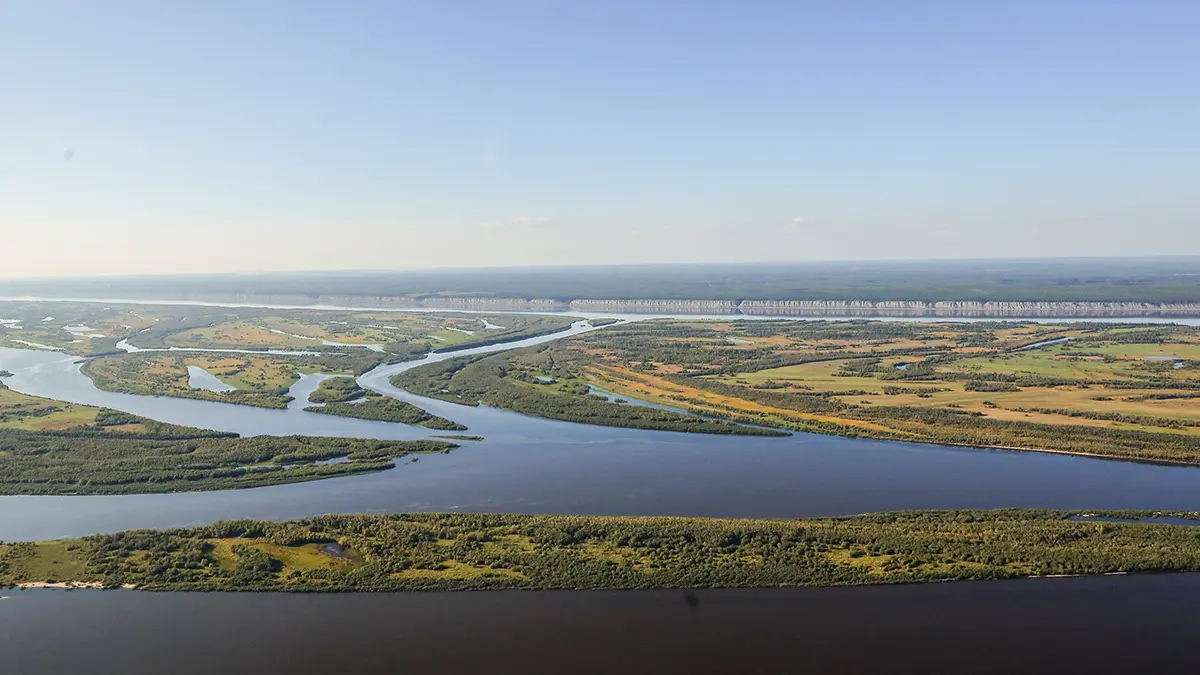 «Плейстоценовый хаки»: ученые из Подмосковья «открыли» еще один новый цвет