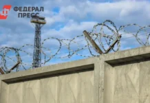 Рустэм Шамсутдинов и Игорь Миронов получили приговоры в Салаватском суде rustem shamsutdinov i igor mironov poluchili prigovory v salavatskom sude-stanural-ru-0