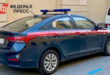 СК РФ проводит расследование майнинга в Иркутской области на тему криптовалюты, "Радиан" и источников энергии sk rf provodit rassledovanie majninga v irkutskoj oblasti na temu kriptovalyuty radian i istochnikov energii-stanural-ru-0