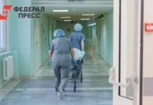 Следственный комитет расследует трагедию с ребенком в Приморье и призывает к осторожности sledstvennyj komitet rassleduet tragediyu s rebenkom v primore i prizyvaet k ostorozhnosti-stanural-ru-0