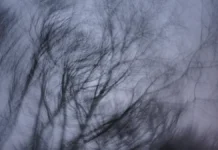 spasateli prodolzhayut poiski semi usolczevyh v zagadochnoj tajge krasnoyarskogo kraya-stanural-ru-0