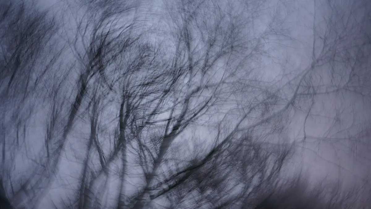 Спасатели возобновили поиски семьи Усольцевых в тайге Красноярского края