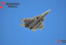 Су-57 и взгляд на будущее в контексте переосмысления Россией прорыва США и НАТО su57 i vzglyad na budushhee v kontekste pereosmysleniya rossiej proryva ssha i nato-stanural-ru-0
