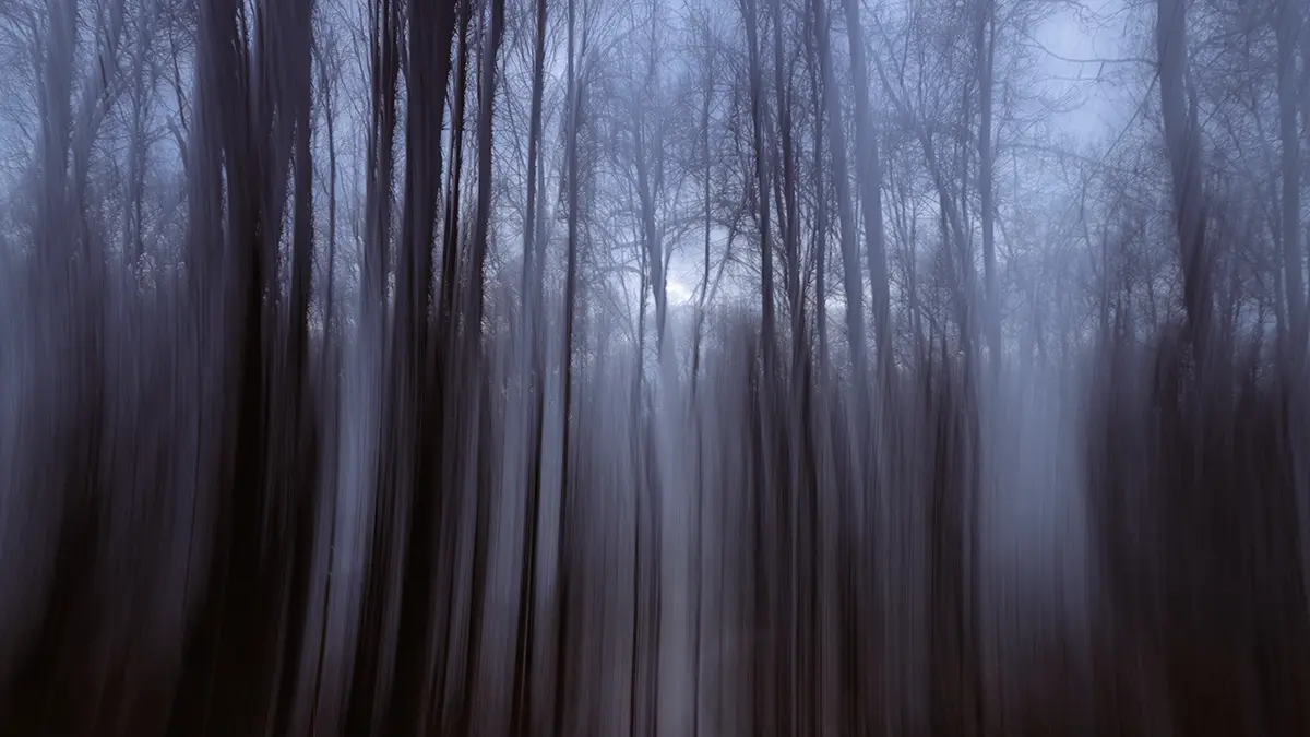 Пожилой француз упал в 40-метровый овраг и три дня выживал благодаря вину