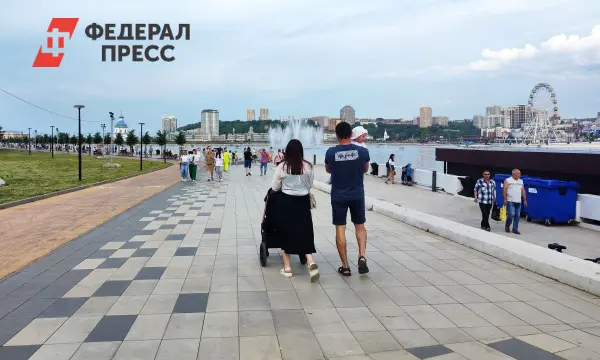 В Чувашии минтруд представил прорывные цифры в борьбе с бедностью-0