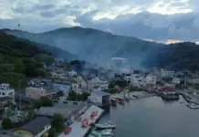 В городе Оита происходит масштабная борьба с пожаром в районе Саганосэки v gorode oita proishodit masshtabnaya borba s pozharom v rajone saganoseki-stanural-ru-0