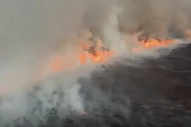 Вводная картинка