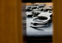 В Уссурийске водитель Lexus RX450h задержан за повторное вождение в нетрезвом виде v ussurijske voditel 450 zaderzhan za povtornoe vozhdenie v netrezvom vide-stanural-ru-0