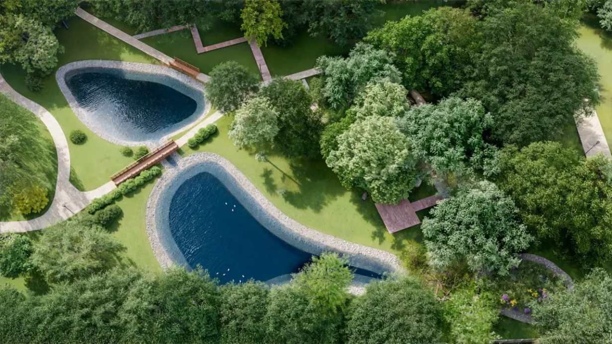 Стартовала реабилитация двух Кунцевских прудов в ЗАО