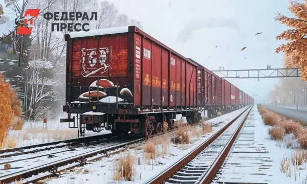 Взрыв на железной дороге и реакции Владислава Косиняк-Камышева и Дональда Туска на угрозу Украине-0