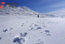 Андрей Шихов о совместных усилиях МЧС и туристов по поиску свердловчан andrej shihov o sovmestnyh usiliyah mchs i turistov po poisku sverdlovchan-stanural-ru-0