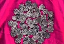 Археологи Хорватии обнаружили клад серебряных монет Первого крестового похода arheologi horvatii obnaruzhili klad serebryanyh monet pervogo krestovogo pohoda-stanural-ru-0