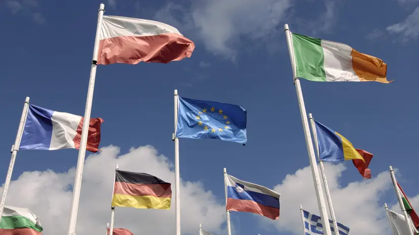 Де Вевер: многие страны ЕС выступают против использования активов России