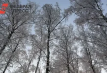 Фобос обещает зимнюю сказку и свежий морозец в Москве на снежные деньки fobos obeshhaet zimnyuyu skazku i svezhij morozecz v moskve na snezhnye denki-stanural-ru-0