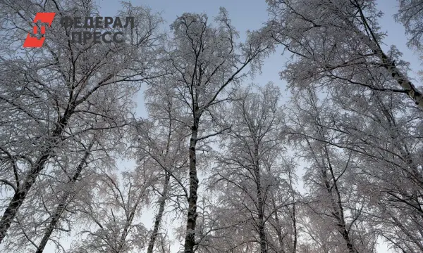 Фобос обещает зимнюю сказку и свежий морозец в Москве на снежные деньки-0