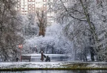 Гидрометцентр России рассказал, когда Москва впервые увидит снег в декабре gidrometczentr rossii rasskazal kogda moskva vpervye uvidit sneg v dekabre-stanural-ru-0