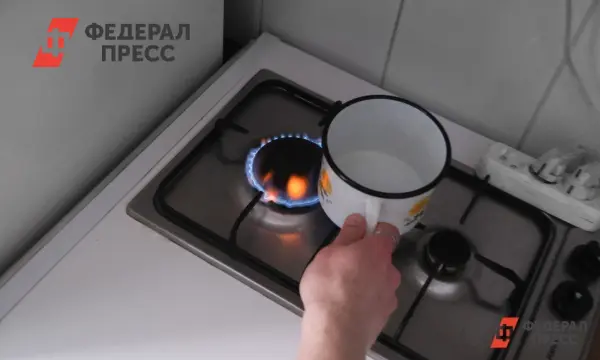 Госжилинспекция и АО «Газпром газораспределение Рязанская область» работают над безопасностью в Рязанском районе-0