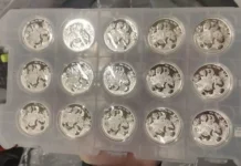 Иностранец из Гуанчжоу задержан в Шереметьево с 140 серебряными монетами панда inostranecz iz guanchzhou zaderzhan v sheremetevo s 140 serebryanymi monetami panda-stanural-ru-0