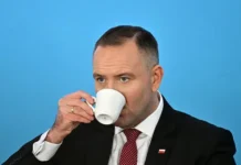 Кароль Навроцкий о судьбе МиГ-29 для Украины и роли НАТО karol navroczkij o sudbe mig29 dlya ukrainy i roli nato-stanural-ru-0