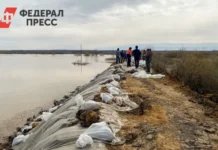 Максим Тютюнник рассказал о мерах защиты от паводков в Тарко-Сале maksim tyutyunnik rasskazal o merah zashhity ot pavodkov v tarkosale-stanural-ru-0