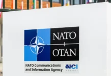 malek dudakov o trevozhnyh perspektivah ukrainy i poziczii trampa v ssha i nato-stanural-ru-0