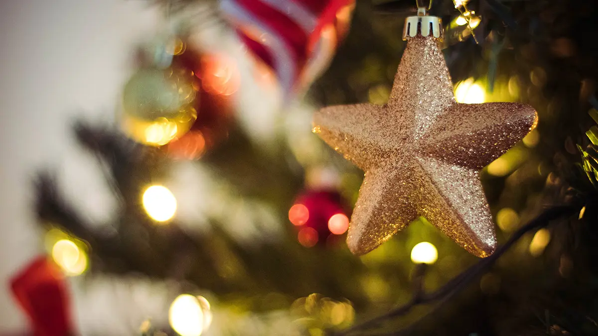 В МЧС призвали москвичей устанавливать огнетушитель в комнате с елкой