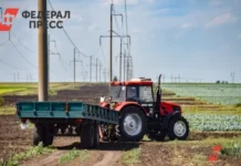 Минсельхоз сообщает о достижениях нацпроекта и рекордном урожае в Рязанской области minselhoz soobshhaet o dostizheniyah naczproekta i rekordnom urozhae v ryazanskoj oblasti-stanural-ru-0