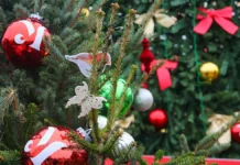 На ВДНХ проходят мероприятия с Дедом Морозом и Елкой желаний для детей из Центра содействия na vdnh prohodyat meropriyatiya s dedom morozom i elkoj zhelanij dlya detej iz czentra sodejstviya-stanural-ru-0