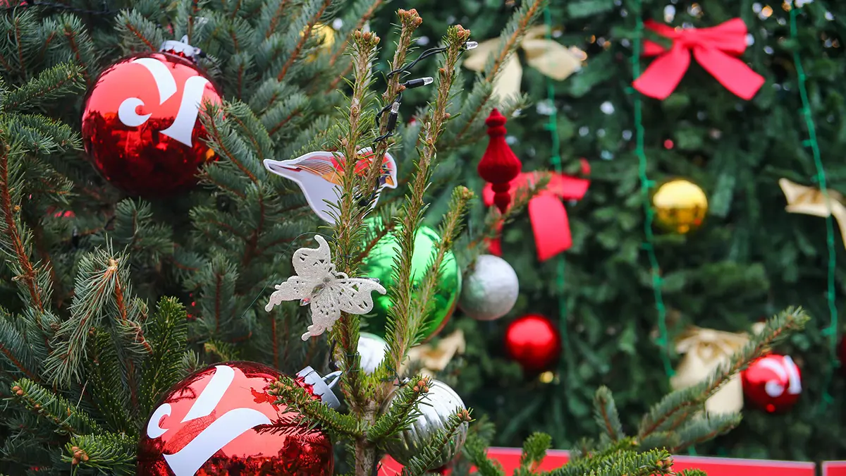 Помощники Деда Мороза исполнят желания детей