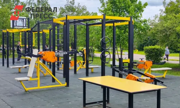 Павел Малков и Дмитрий Чернышенко объявили о спортивном успехе Рязанской области-0