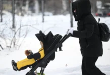 pravitelstvo rossii podderzhalo zakonoproekt yaroslava nilova dlya materej detej do treh let-stanural-ru-0