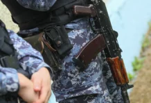 rosgvardiya zaderzhala muzhchinu iz podmoskovya za debosh na yuge moskvy-stanural-ru-0