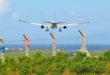 Шинейд Харт и Томас Ли Манро задержаны на Маврикии с крупной партией каннабиса shinejd hart i tomas li manro zaderzhany na mavrikii s krupnoj partiej kannabisa-stanural-ru-0