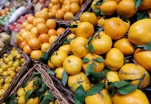 snizhenie czen na mandariny iz abhazii i  raduet rossiyan-stanural-ru-0