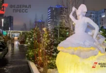 Советы Александра Болдакина о покупке живой ёлки в Ульяновске sovety aleksandra boldakina o pokupke zhivoj yolki v ulyanovske-stanural-ru-0