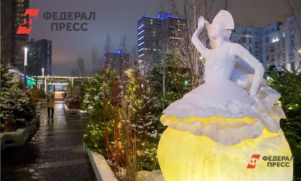 Советы Александра Болдакина о покупке живой ёлки в Ульяновске-0