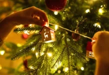 Советы эксперта VISTA по защите зрения от гирлянд на праздники sovety eksperta po zashhite zreniya ot girlyand na prazdniki-stanural-ru-0