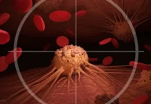 Университет ИТМО совместно с Константином Зайцевым изучает РНК клеток при раке universitet itmo sovmestno s konstantinom zajczevym izuchaet rnk kletok pri rake-stanural-ru-0