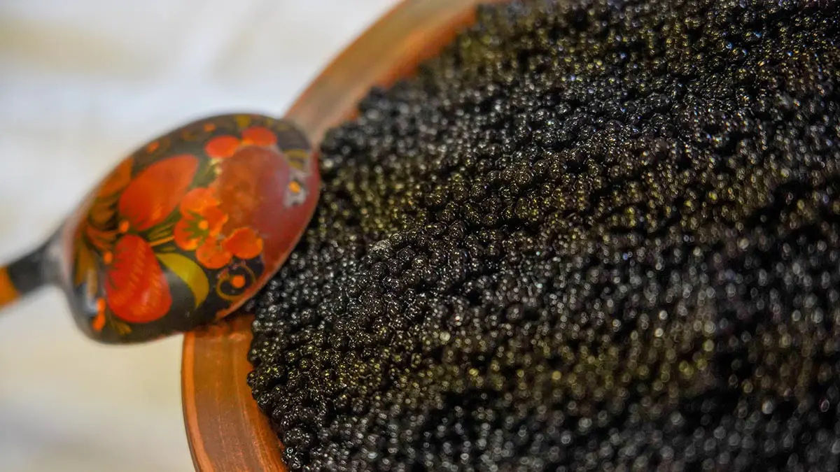 Россиянина задержали в аэропорту Домодедово за контрабанду черной икры