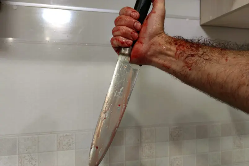 Фото: primamedia.ru