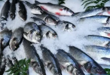 Владимир Путин и ВАРПЭ отмечают потенциал роста потребления рыбы в России vladimir putin i varpe otmechayut potenczial rosta potrebleniya ryby v rossii-stanural-ru-0